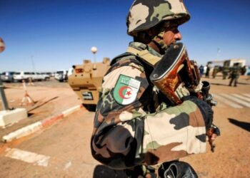 ضرورة استفادة إفريقيا من التجربة الجزائرية في مكافحة الإرهاب