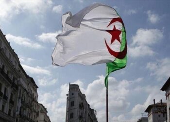 الحراك.. أكبر مصلح لاعوجاج السياسة!