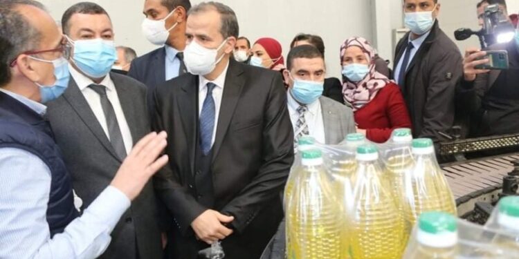 رزيق: لا وجود لأزمة زيت