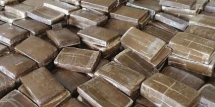 حجز 66 طنا من القنب الهندي في 11 شهرا