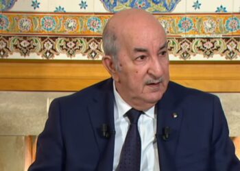 بالفيديو.. الرئيس تبون يؤكد أن الديمقراطية تبنى بحرية التعبير الحقيقية