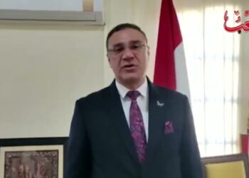 السفير المصري يتحدث عن دور الجزائر في تعليق منح صفة مرافق للكيان الصهيوني بالاتحاد الافريقي