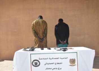 إرهابيان يسلمان نفسيهما بتمنراست