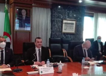 الوزير عرقاب يتباحث مع نظيره النيجيري