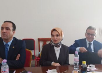 سفيرة تركيا تتحدث عن اتفاق تفضيلي مع الجزائر