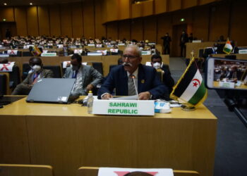غالي: التقيد بالقانون التأسيسي يحافظ على وحدة الاتحاد الإفريقي