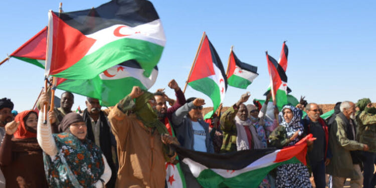 ميلاد تنسيقية عربية للتضامن مع الشعب الصحراوي
