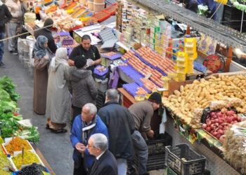 نحو سوق رحمة بكل بلدية في تيبازة