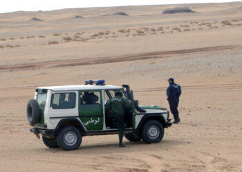 حجز 20 ألف قارورة خمر بالوادي