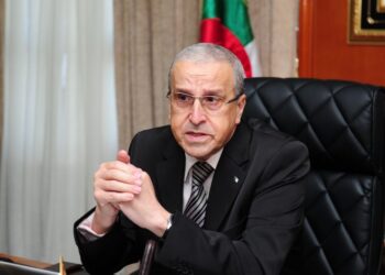 بن زيان يتحدث عن مهام الأكاديمية الجزائرية للعلوم والتكنولوجيات