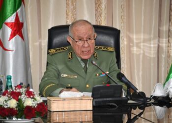الفريق شنقريحة: المعركة ضد الإرهاب في الساحل تتطلب تضافر الجهود