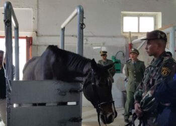 أيام دراسية للحرس الجمهوري حول الفروسية