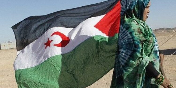 طريـــق الحريـــة