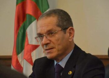 وزير الفلاحة يبرز دور دواوين القطاع في ضبط السوق