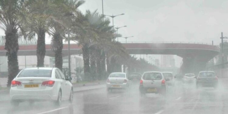 نشرية خاصة.. أمطار في 46 ولاية