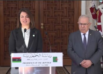 تصريح وزيرة خارجية ليبيا عقب استقبالها من قبل الرئيس تبون (فيديو)