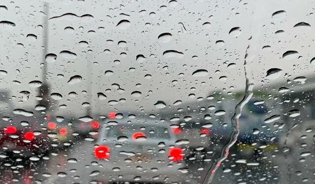 أمطار رعدية بهذه الولايات