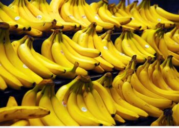 جمعية تجار تطالب بإعادة النظر في رخص استيراد الموز