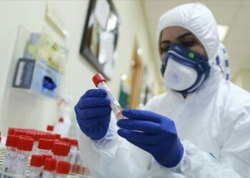 آخر أرقام كورونا في الـ 24 ساعة الأخيرة