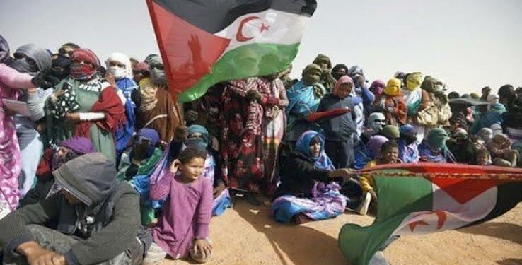 الصحراويون يحيون الذكرى ال 49 للكفاح المسلح