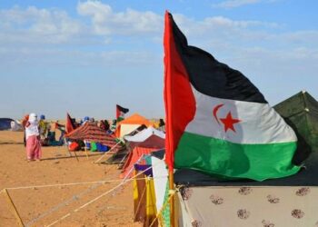 مطالب بإنقاذ المدنيين الصحراويين من بطش قوات الاحتلال المغربي