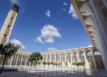 إمام مفتي في كل ولاية و7 بجامع الجزائر
