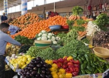 أسعار الخضر تنخفض في معسكر