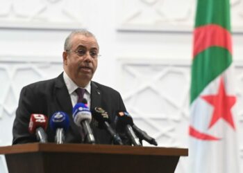 خدمة جديدة لتغطية قروض الاستثمار والايجارية