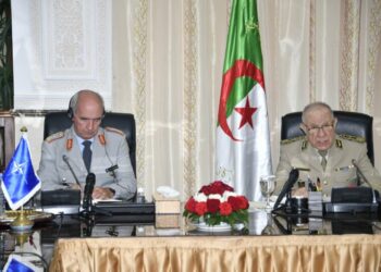 الفريق شنقريحة: الجزائر تدعم دوما المبادرات الهادفة لاستقرار منطقتنا