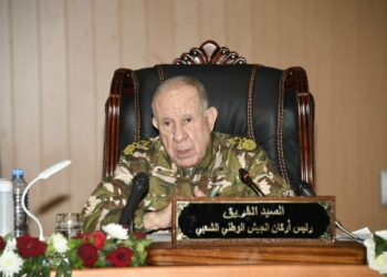 الفريق شنقريحة: الشعب الجزائري تفطن لخلفيات مؤامرات تحاك ضده