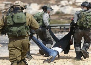 دعوة لتحقيق دولي في جرائم الاحتلال ضد الفلسطينيين