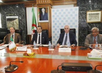 ارتفاع إنتاج الجزائر من النفط جويلية المقبل