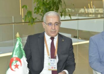 بوغالي يتحادث مع نظيريه من جنوب إفريقيا وتركيا