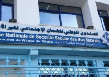 بن طالب: 600 ألف مشترك في “كاسنوس”