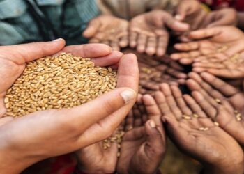 تحذيرات من أزمة الجوع حول العالم وآثارها
