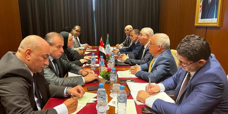 بحث سبل تعزيز التعاون الاقتصادي الجزائري-المصري