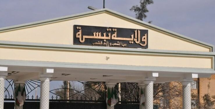 تبسة.. تدابير للوقاية من حرائق الغابات