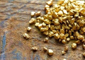 ما أنتجته 57 مؤسسة مصغرة تنشط في استخراج الذهب