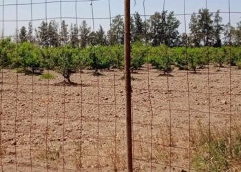 منع تسييج المستثمرات الفلاحية بطرق غير مطابقة
