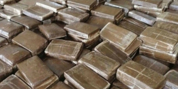 حجز 5 كلغ من القنب الهندي بالأغواط