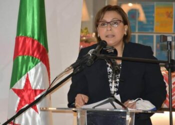 محادثات جزائرية – جنوب افريقية في مجال التنمية الاجتماعية