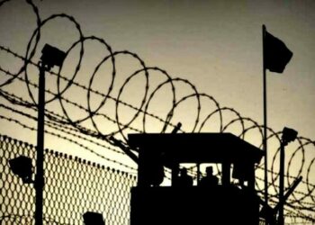 250 فلسطينيا في سجون الاحتلال منذ 20 عاما