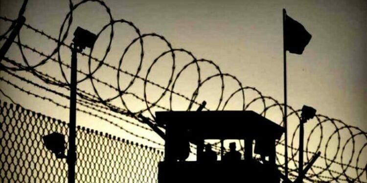 250 فلسطينيا في سجون الاحتلال منذ 20 عاما