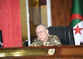 الفريق أول شنقريحة: العسكري لا يدخر جهدا لخدمة وطنه