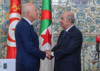 الرئيس سعيد: الجزائر وتونس يجمعهما تاريخ حافل بالأمجاد