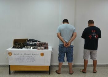 الجيش يحجز كمية من المخدرات قادمة من المغرب