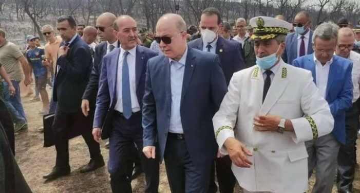 تعويض المتضررين من حرائق الغابات بداية من الأسبوع المقبل