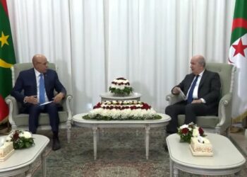 الرئيس تبون يتلقى التعازي من نظيره الموريتاني في ضحايا حرائق الغابات