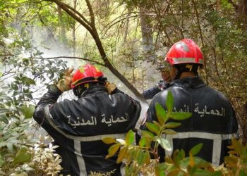 39 حريقا في 14 ولاية