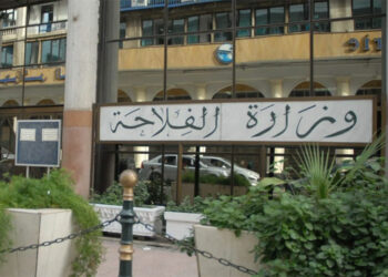 وزارة الفلاحة: البنك الوطني للبذور يكتسي أهمية قصوى